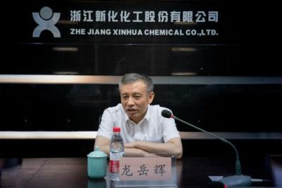 省税务局党委书记、副局长龙岳辉莅临公司调研